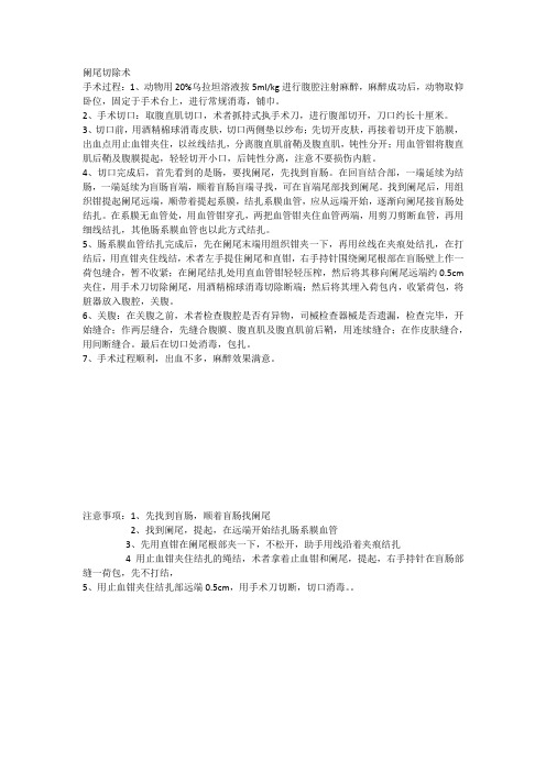 阑尾切除术