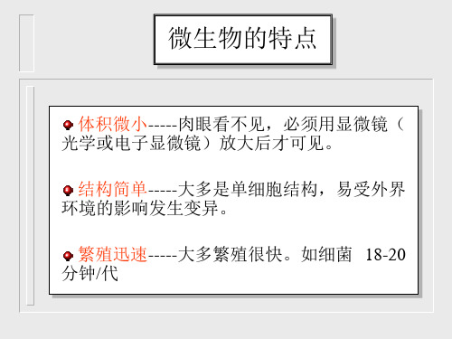微生物的特点