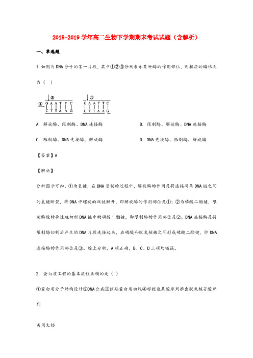 2018-2019学年高二生物下学期期末考试试题(含解析) (2)