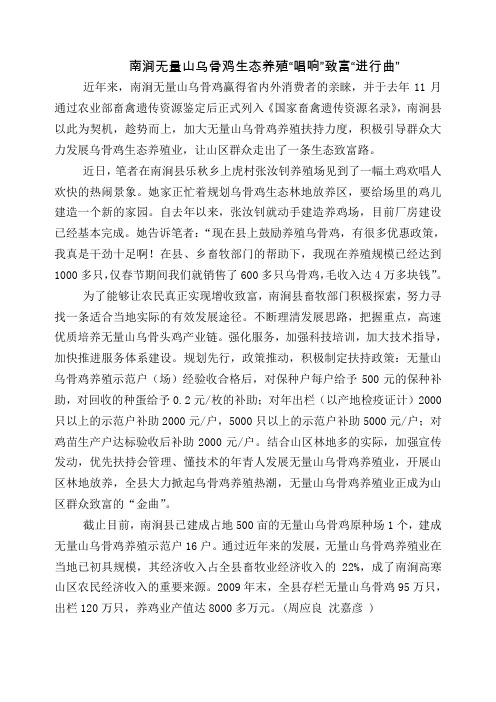 南涧无量山乌骨鸡生态养殖'唱响'致富'进行曲'