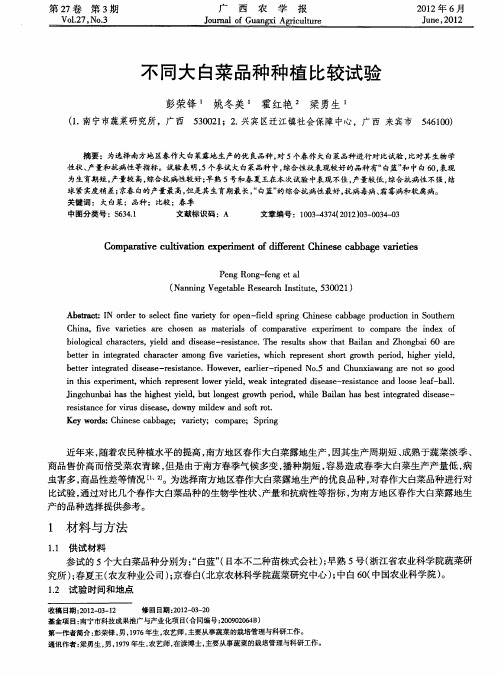 不同大白菜品种种植比较试验