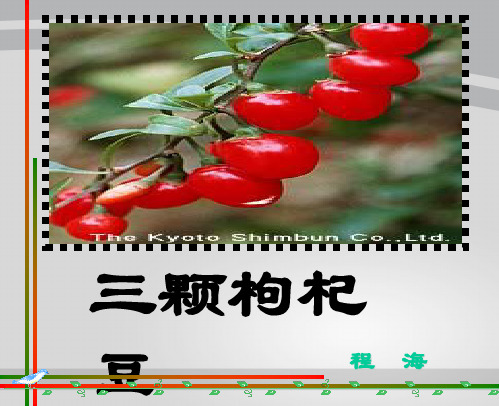 初中语文(苏教版)七年级-2.7《三颗枸杞豆》课件(共31张PPT)