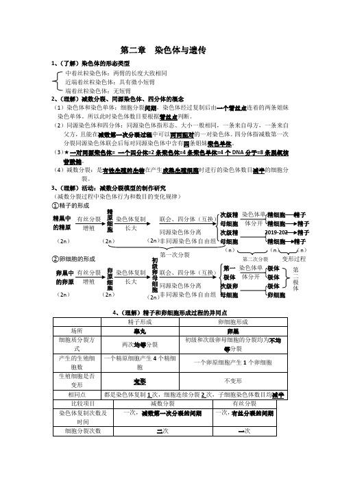 2019-2020年高二生物必修2第二章染色体与遗传会考学业水平考试复习提纲知识点整理