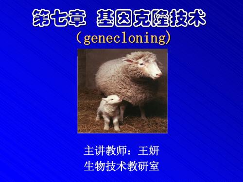 第七章 基因克隆