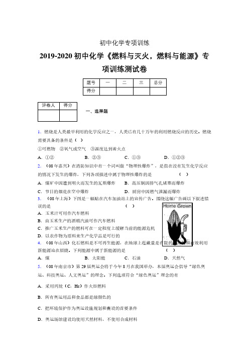 2019-2020学年初中化学《燃料与灭火,燃料与能源》专项训练模拟测试(含答案) (94)