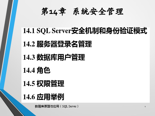 《数据库原理与应用》第14章 系统安全管理