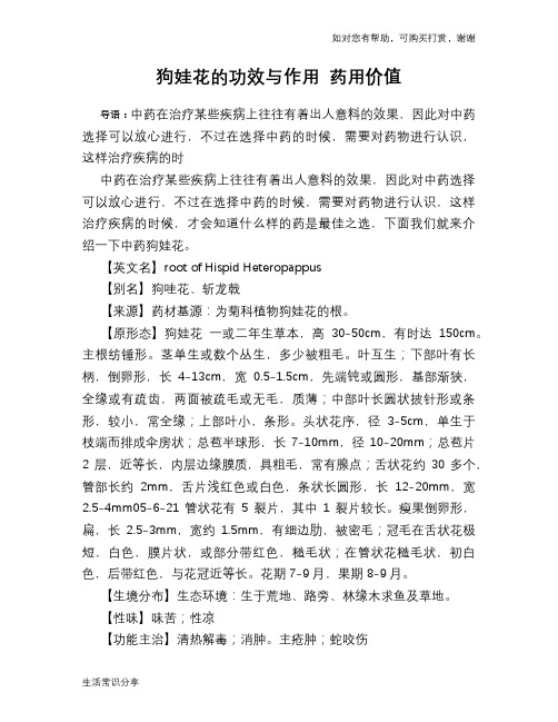 狗娃花的功效与作用 药用价值