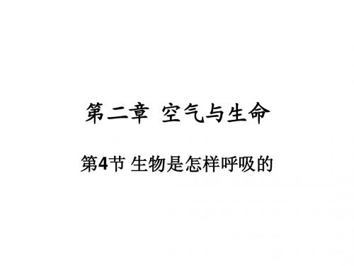 呼吸怎样进行呼吸