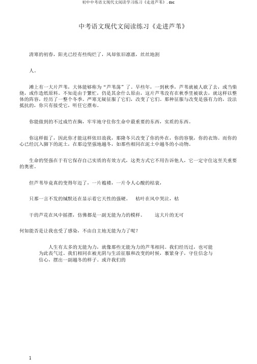 初中中考语文现代文阅读学习练习《走进芦苇》.doc
