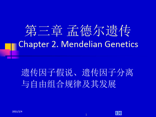 遗传学第三章孟德尔遗传定律总论