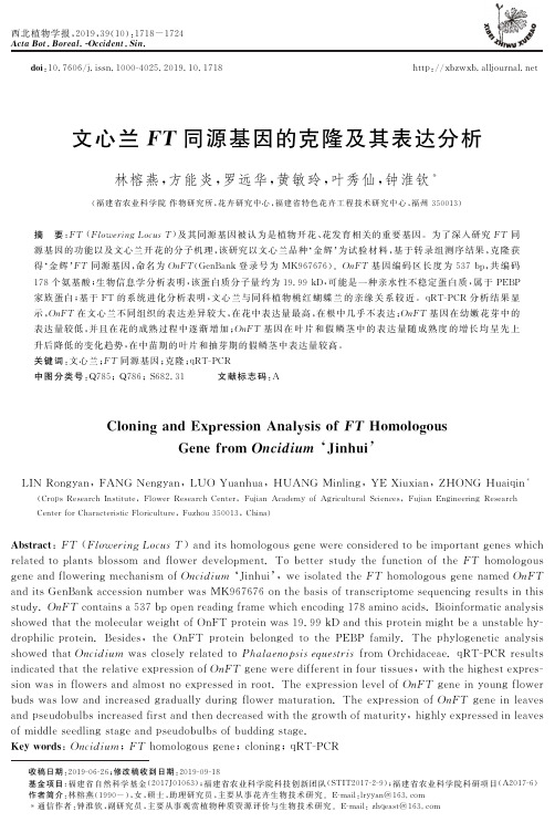 文心兰ft同源基因的克隆及其表达分析