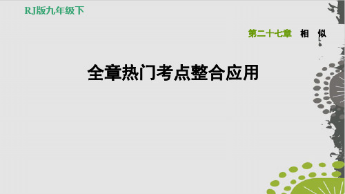 第章全章热门考点整合应用人教版九级数学下册习题完美课件