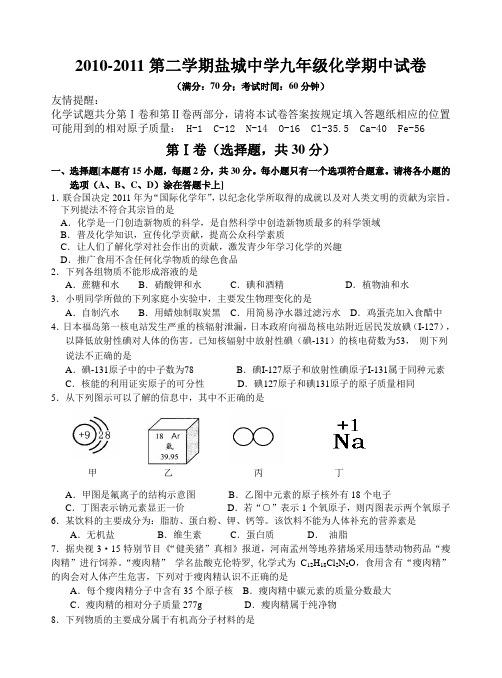 人教版九年级化学下册-第二学期盐城中学期中试卷