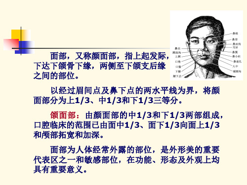 面部局部解剖学_PPT幻灯片
