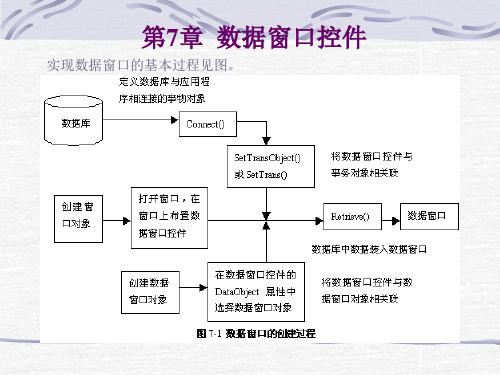 PB_07第7章__数据窗口控件