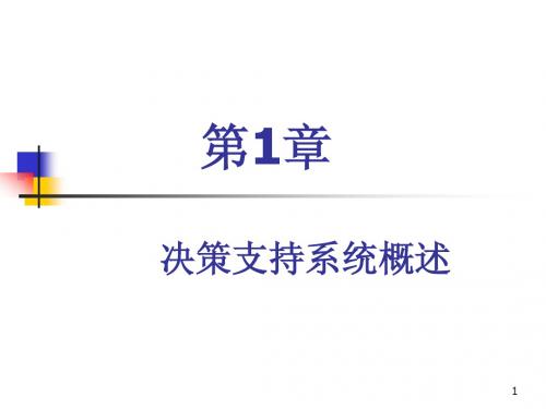 决策支持系统复习