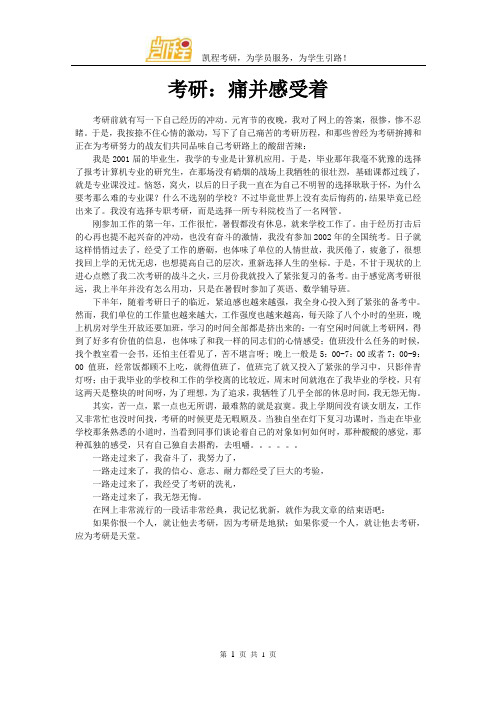 考研：痛并感受着