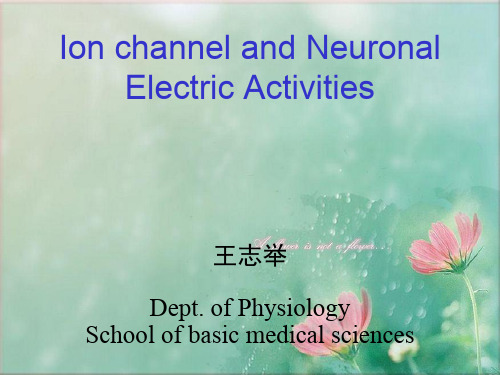 神经生物学2离子通道和神经元电活动