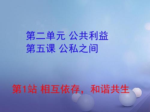 八年级道德与法治上册第二单元公共利益第五课公私之间