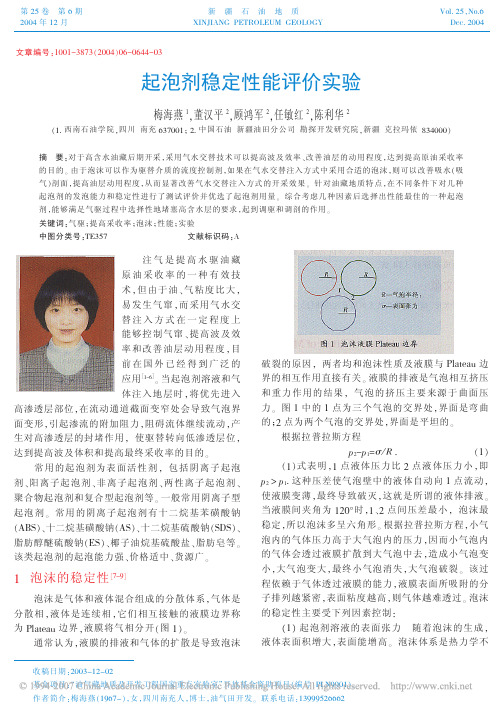 起泡剂稳定性能评价实验