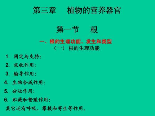 《营养器官》