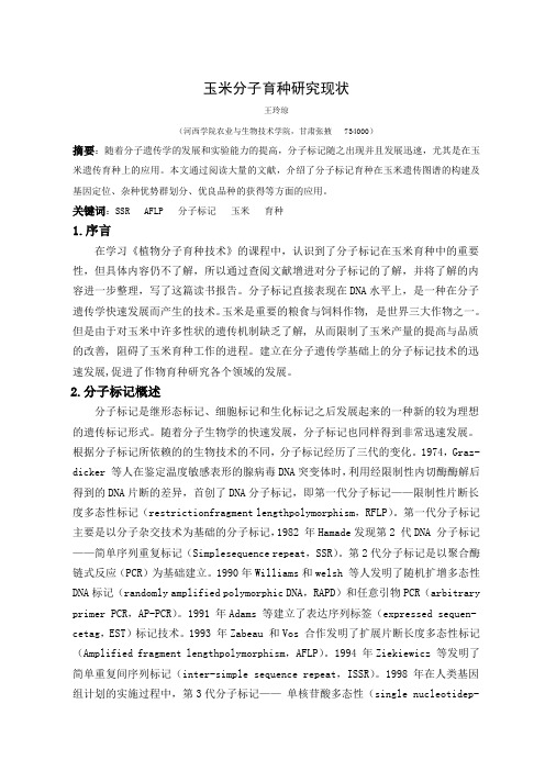 玉米分子育种研究现状