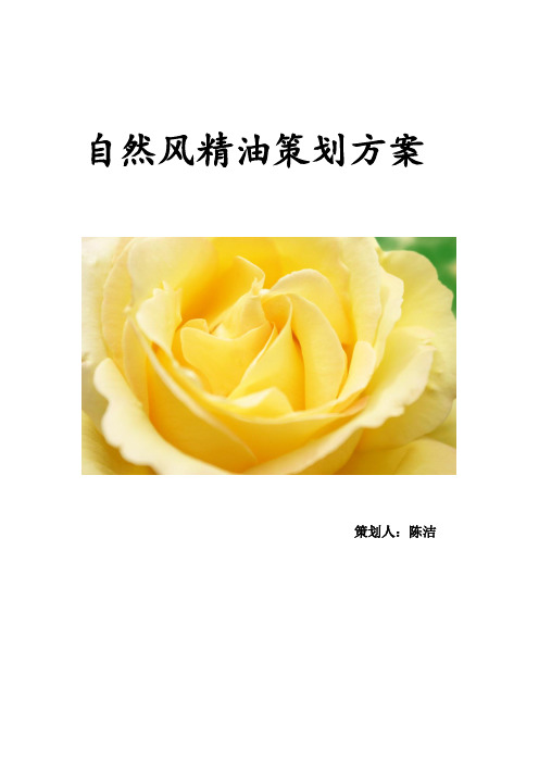自然风精油策划方案