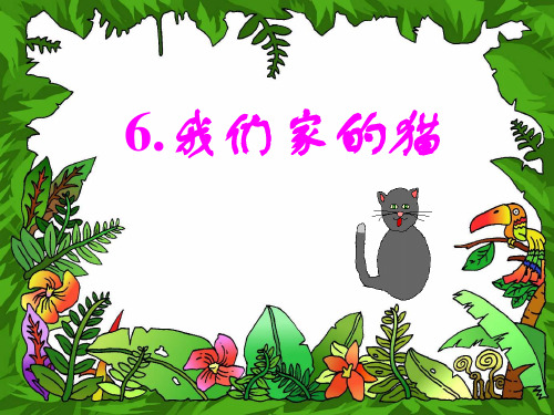 四年级下册语文课件—6.我们家的猫 ▎冀教版(共15张PPT)