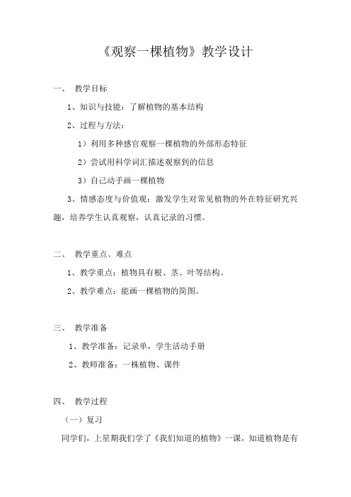 教科2017课标版科学一年级上册《植物 2 观察一棵植物》优质课教学设计_14
