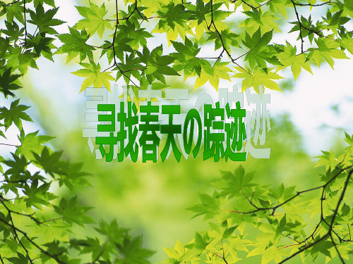 寻觅春天的踪迹(优秀课件)