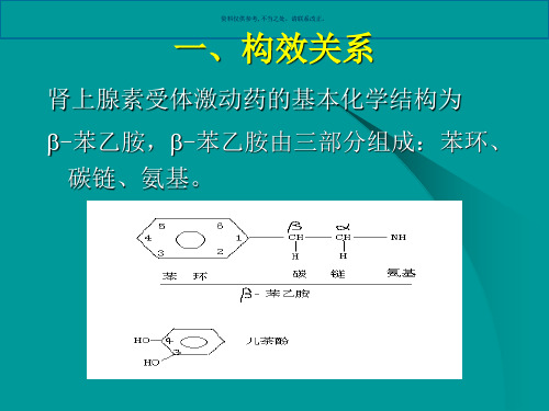 肾上腺素受体激动剂