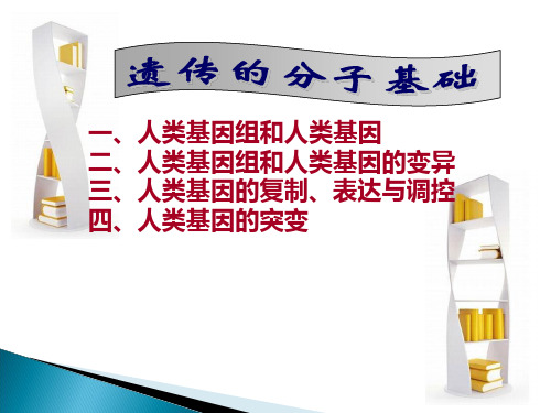 遗传学-遗传的分子基础