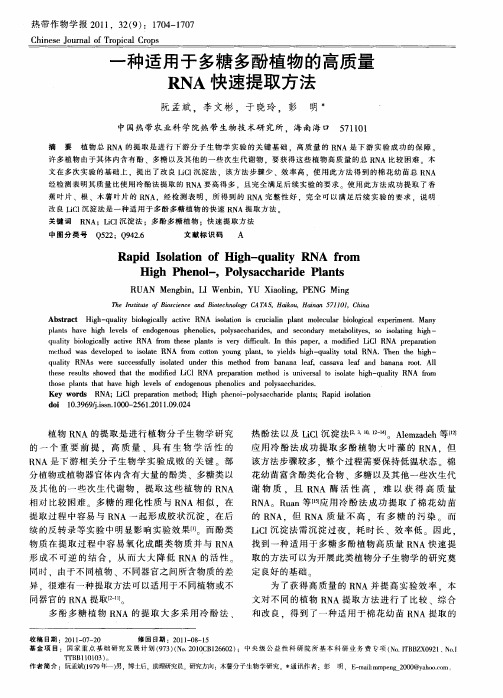 一种适用于多糖多酚植物的高质量RNA快速提取方法