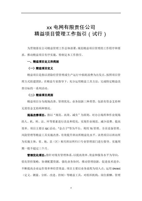 电网有限责任公司精益项目管理工作指引模版