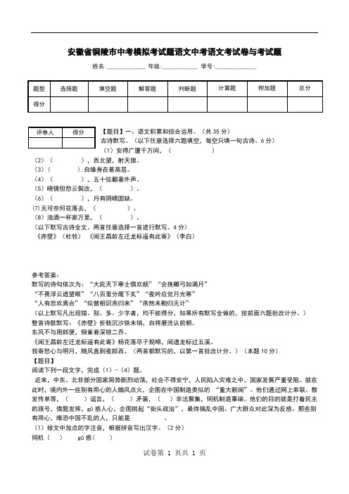 安徽省铜陵市中考模拟考试题语文中考语文考试卷与考试题