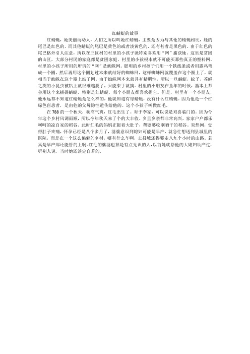 红蜻蜓的故事
