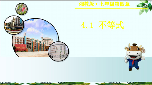 湘教版初中数学八上不等式精品课件PPT