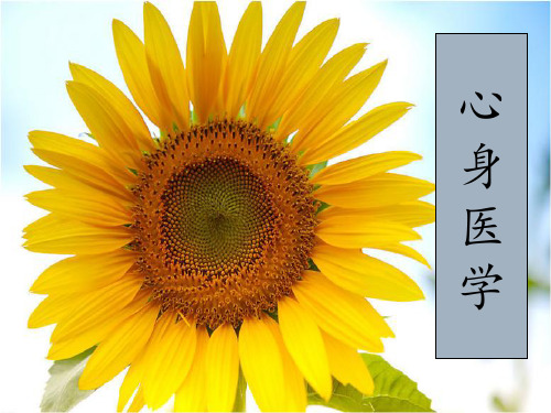 心身医学 第八章 消化系统心身疾病