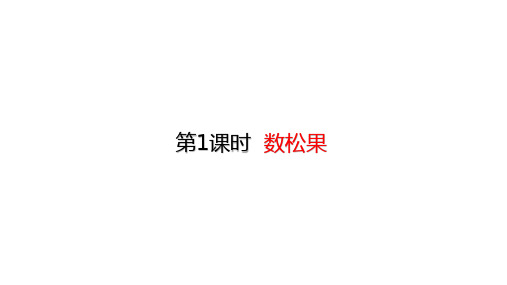二年级上册数学课件-5.1 数松果 (共22张PPT)北师大版