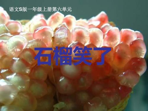 一年级上册石榴笑了语文S版