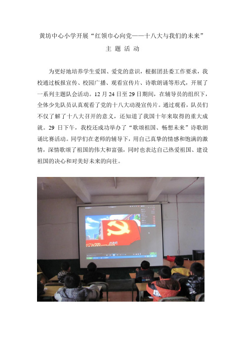 红领巾心向党主题活动小结