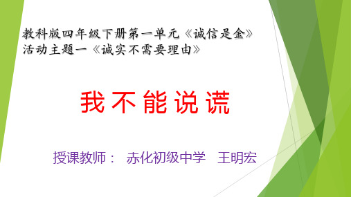 我不能说谎.
