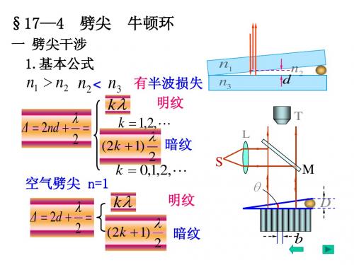 波动光学2