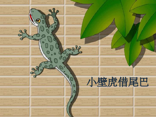 小壁虎借尾巴 课件ppt课件