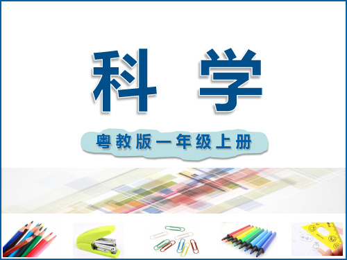 粤教版一年级上册科学全册课件【新教材】