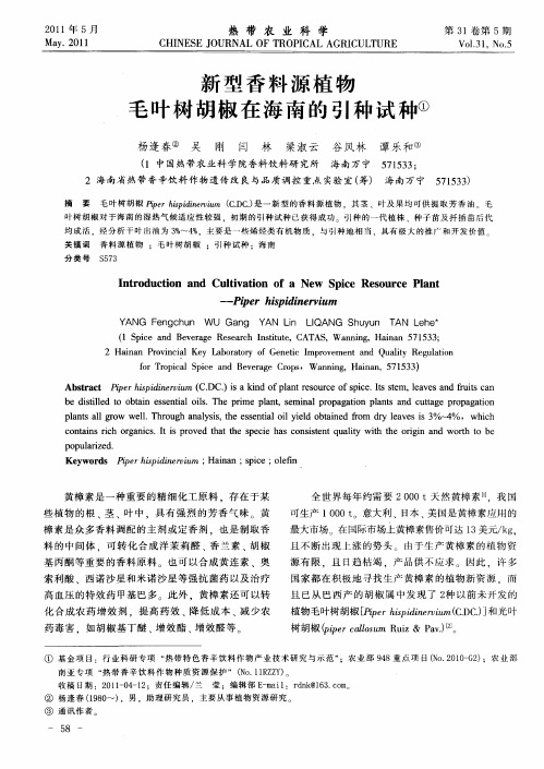 新型香料源植物毛叶树胡椒在海南的引种试种