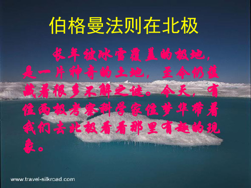 《伯格曼法则在北极》ppt课件 