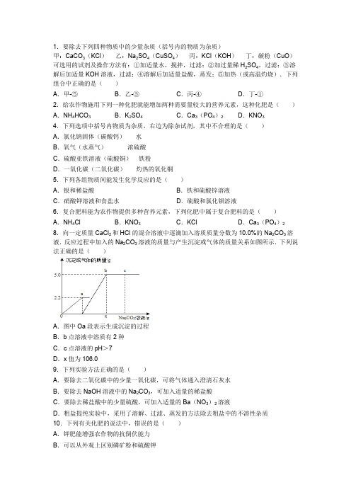初三化学《盐化肥》之中考真题