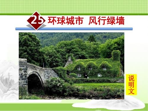 苏教版九年级语文上册 25.环球城市 风行绿墙【课件】(新版)