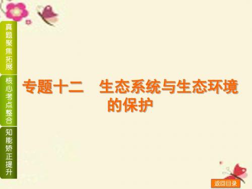 (全国卷地区)2016高考生物二轮复习 专题讲练 第6单元 生物与环境 12 生态系统与生态环境的保护课件